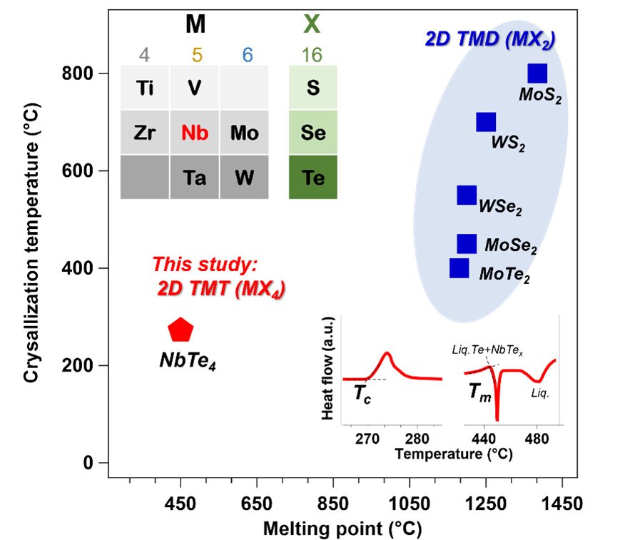 A comparison of Tc (crystallization temperature) and Tm (melting point) values of various 2D TM chalcogenides; The Tc and Tm values of NbTe4 were defined by the onset temperature of crystallization and melting peaks in this study. ©Yi Shuang et al.