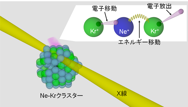 tohokuuniv-press20170130_01.png