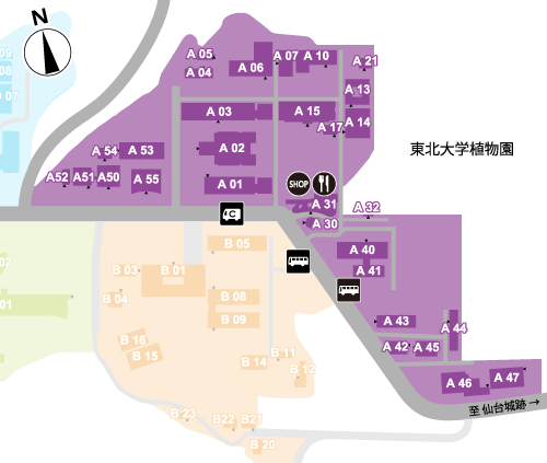 青葉山キャンパス Aエリア