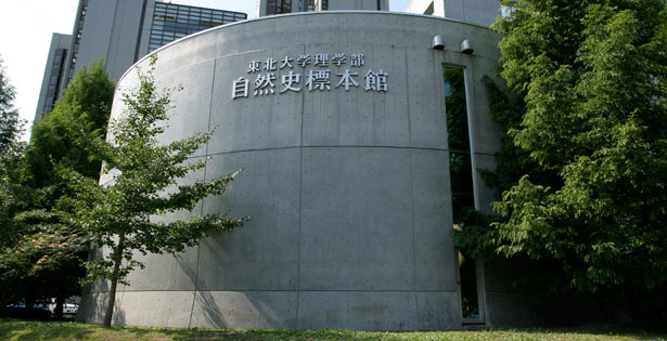 Tohoku University Museum