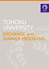 summer research program japan