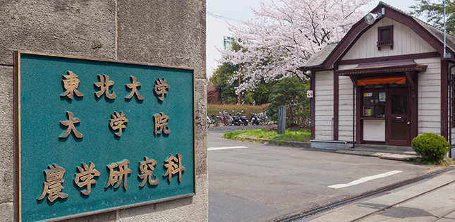 Amamiya Campus Thanksgiving Festival 