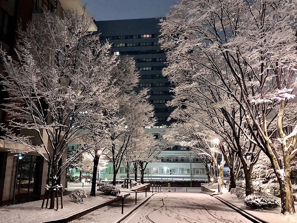 東北大学113周年フォトコンテスト 秋冬 入賞作 ニュース 東北大学 Tohoku University