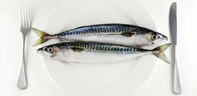 Why Fish Intake by Pregnant Women Improves the Growth of a Child's Brain