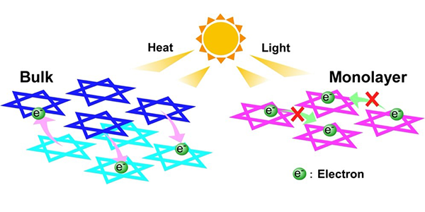 20211021_monolayer_f2.png