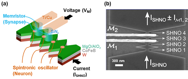 178_20211130_pr_fukami_memristive_spintronic_neurons_pic1.jpg