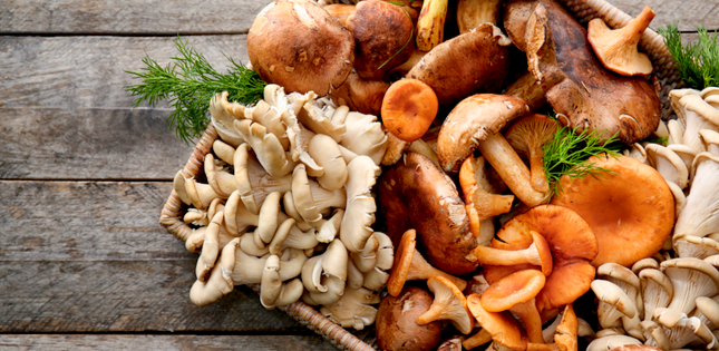 Research News Large Long Term Study Suggests Link Between Eating Mushrooms And A Lower Risk Of Prostate Cancer Tohoku University Global Site