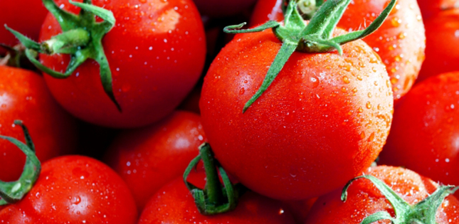 Growing Sweet on Tomatoes