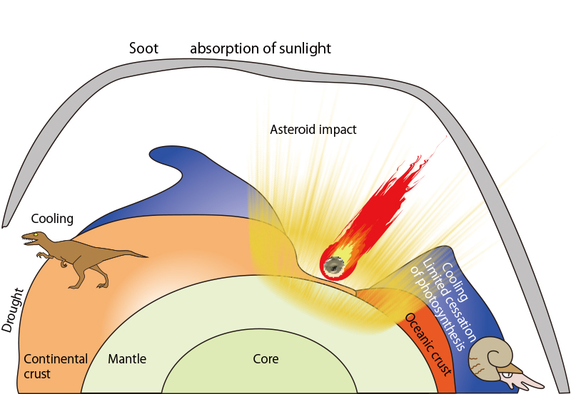 Soot may have killed off the dinosaurs and ammonites