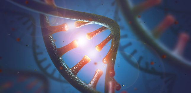 New analytical tool for fluorescence detection of double-stranded RNA