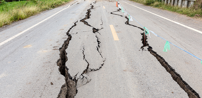 Above and beyond megathrusts: Draining pore-fluids dampens tremors