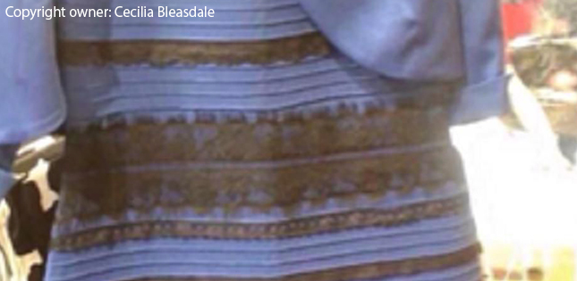 Which piece resembles your color perception for #theDress image?