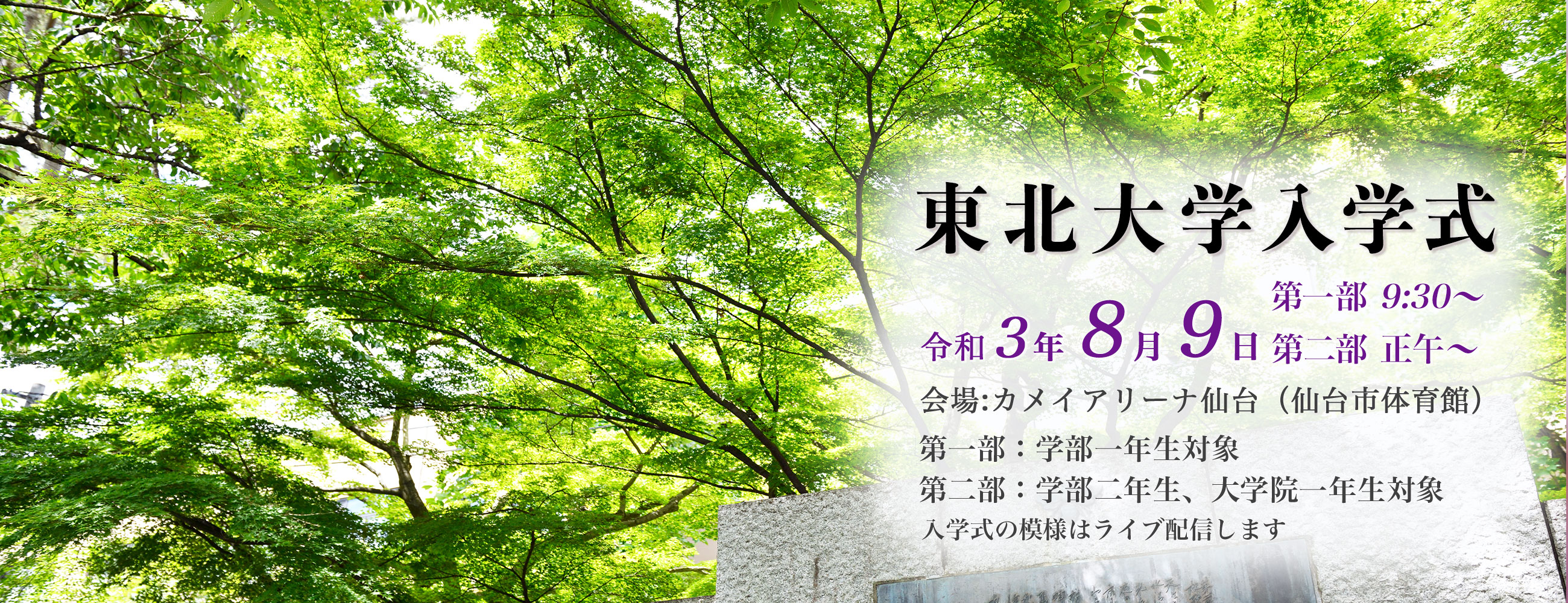 東北大学 Tohoku University