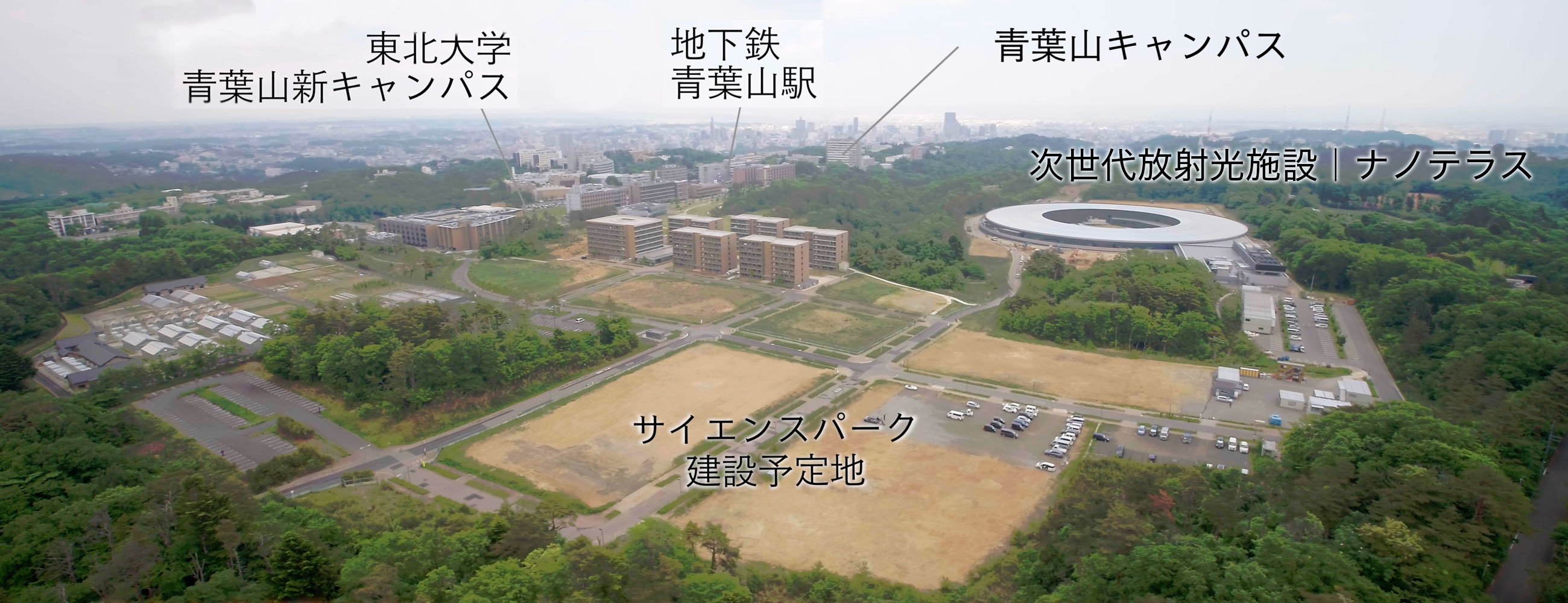 東北大学 Tohoku University