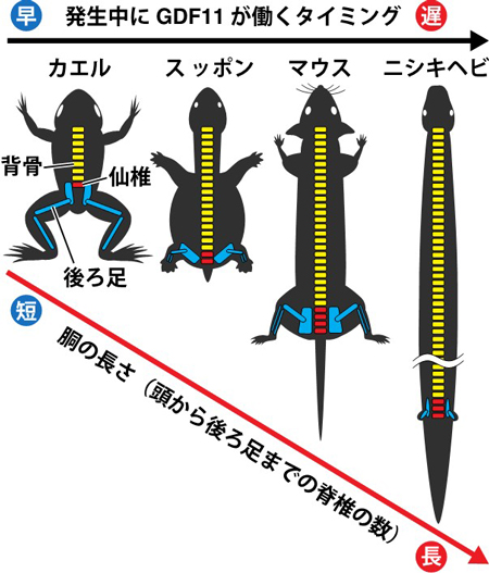 図1