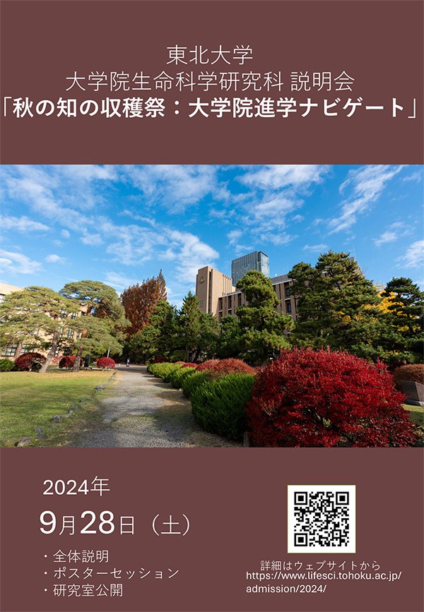 ポスター