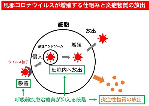 新型 コロナ 喘息 薬