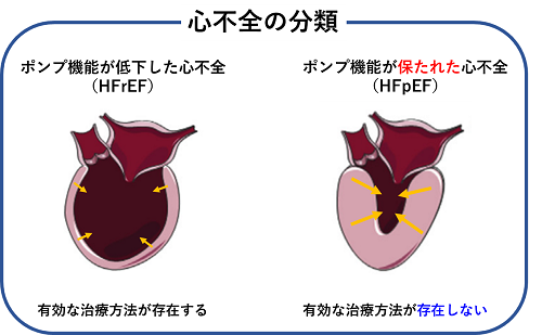 駆込み女と駆出し男