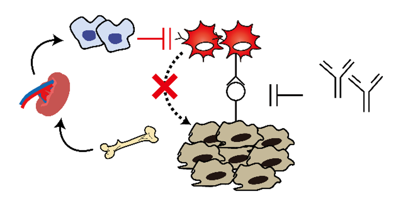 NSAID による稀ではあるが重篤な副作用
