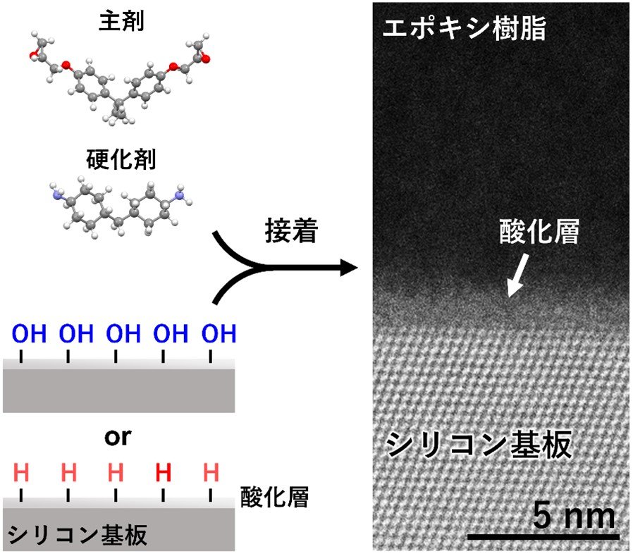 接着と剥離のメカニズムを 計測と計算の融合で分子レベルから解明 ～複合材料軽量化や解体性向上で低炭素・循環型社会に貢献～