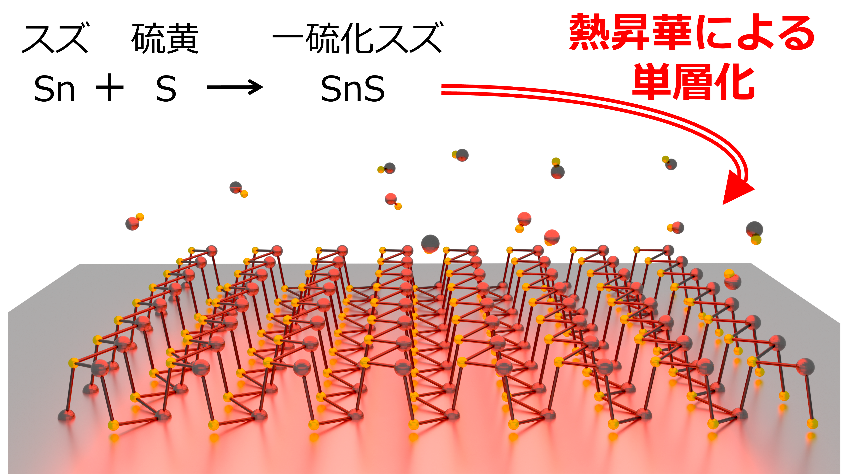 次世代半導体材料SnSの大面積単層結晶の合成技術を確立～ 光電融合デバイスや高速情報処理技術への応用が期待～