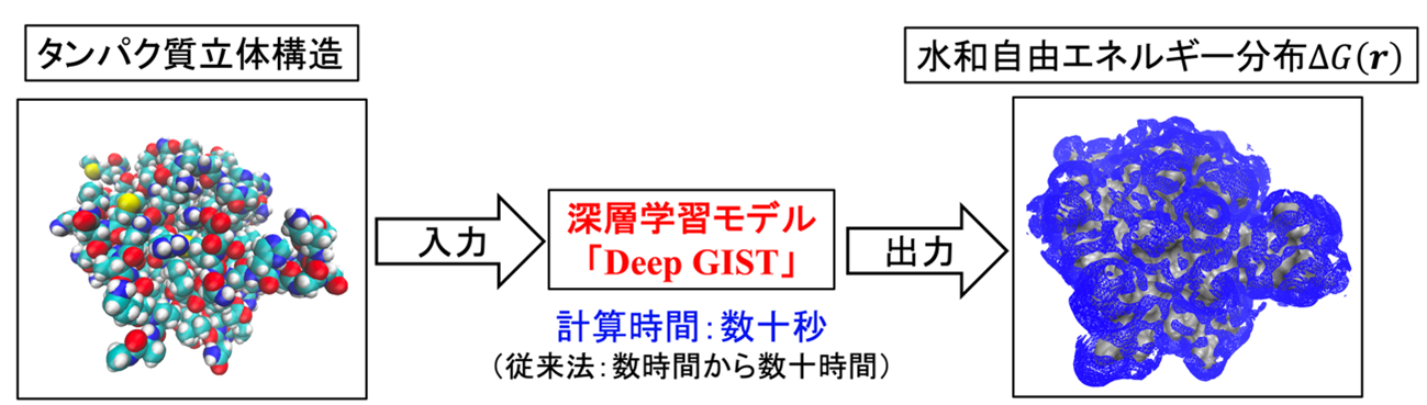 深層学習によりタンパク質周辺の水和解析を実用速度に～創薬への応用を目指し、従来法の計算時間を大幅に短縮～