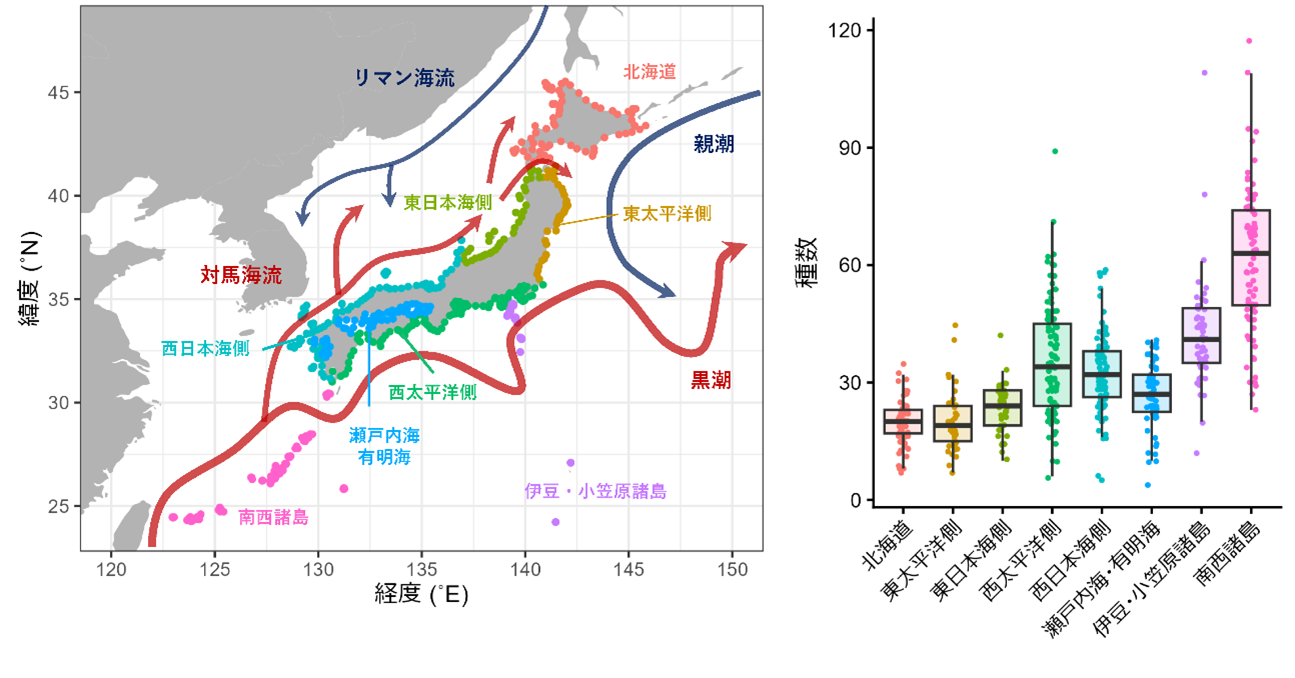 大規模環境DNA調査から沿岸魚分布を決める要因を探る～魚類相を形成する複雑な海流の働きが明らかに～
