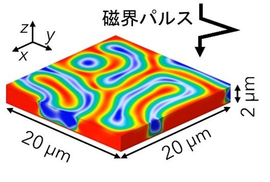 膨張と収縮を繰り返す磁気ドメイン状態を発見 ―磁界周波数コンバータや磁気周波数逓倍器など新しい磁気デバイス応用を発想―