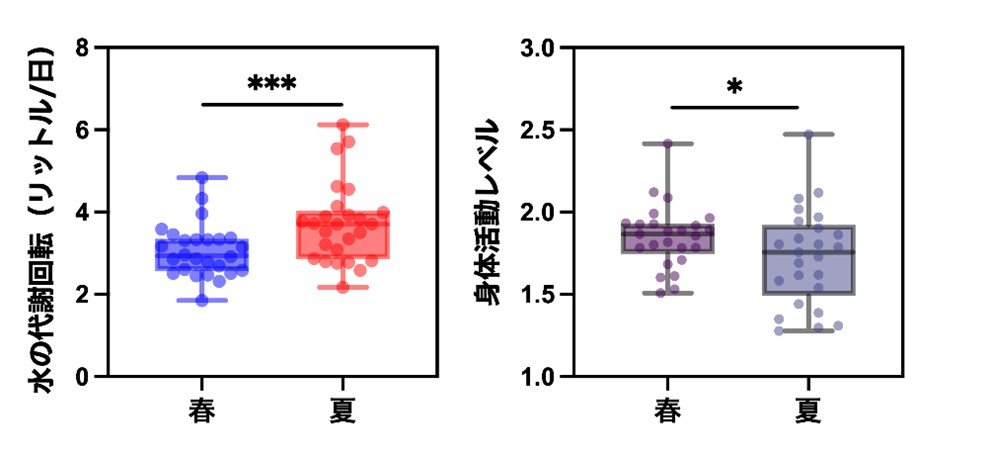 暑さで1日の水の代謝回転はどう変わる？ －高齢者の水代謝を二重標識水法で解明－