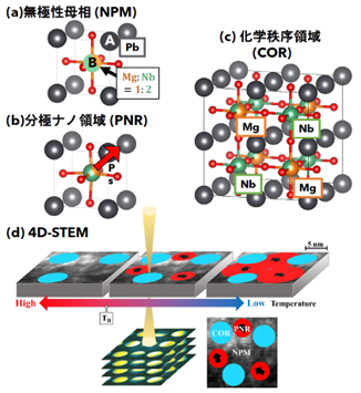 リラクサー強誘電体の長年の謎を解明 ―ナノ極性領域の成長と相互作用を初めて直接観測―