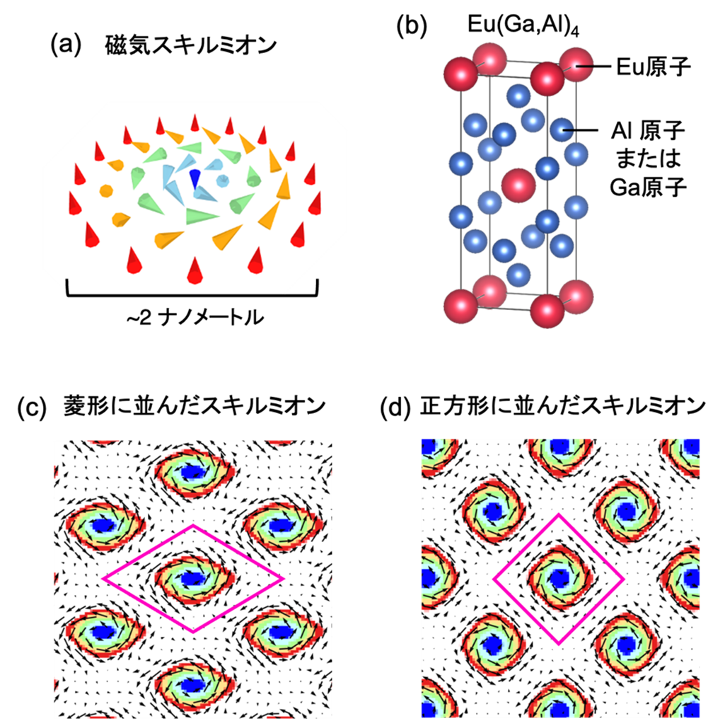 ナノサイズの「磁気の渦」の正体を解明 ― 次世代・超省電力メモリ実現へ新たな設計指針 ―