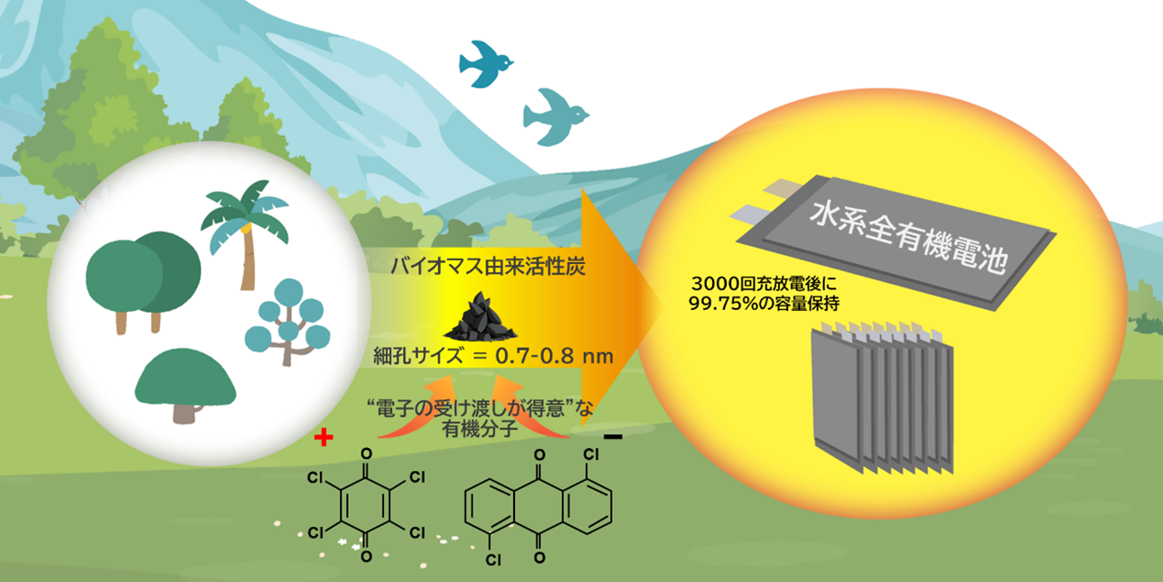 バイオマス炭素材料を使った高耐久な全有機電池を開発 －大面積パウチ電池直列モジュールの実証：全有機電池実用化へ向けて－
