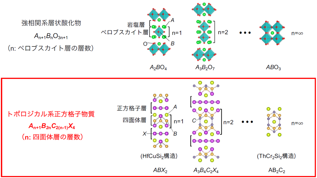トポロジカル磁性体の新たな設計指針を確立 ― ディラック電子を持つ正方格子物質でホモロガス系列を発見 ―