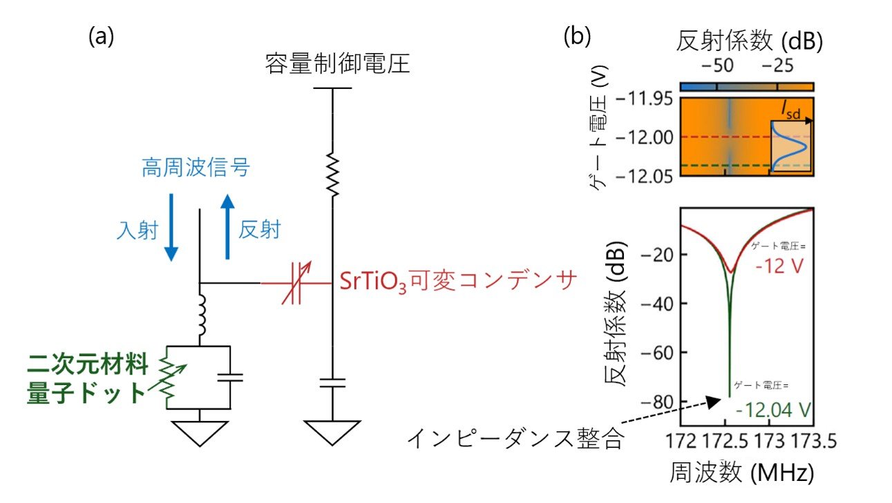 二次元層状材料量子ドットにおける高速測定手法を実証 ─次世代量子コンピュータの実現へ向け、二次元材料量子ビットの研究基盤を構築─