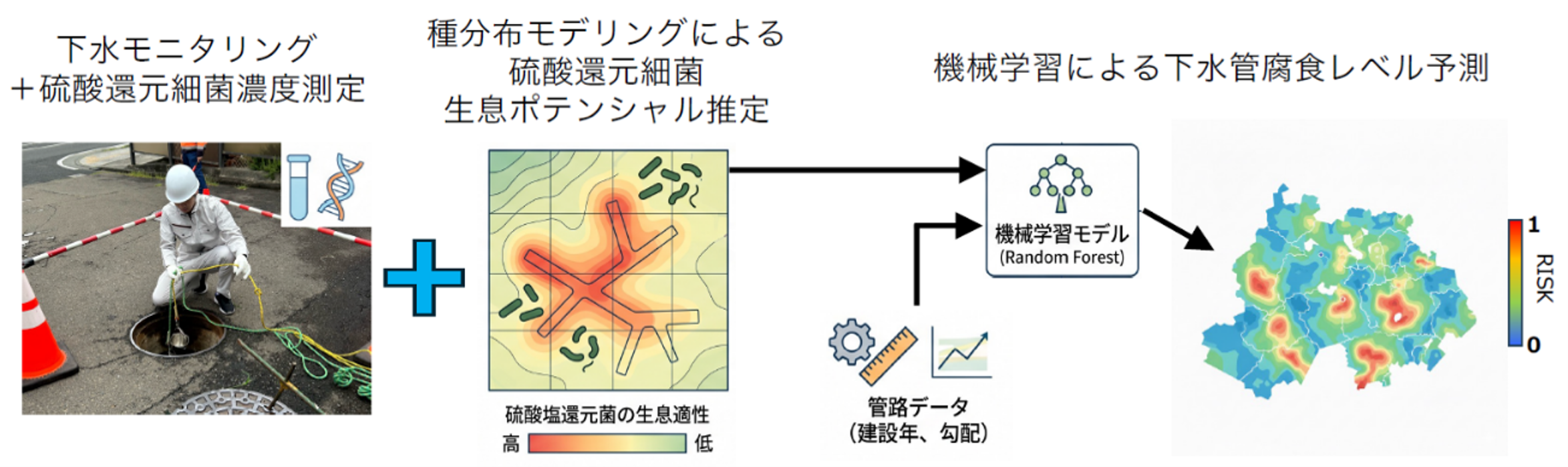 下水モニタリング&times;生態学&times;機械学習：老朽下水道インフラを予防保全 ―腐食リスクを細菌データから予測し、陥没事故の未然防止へ―