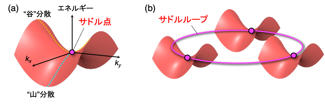 超伝導を強める電子の「隠れた輪」を発見 ― 新しい超伝導材料設計への道筋 ―