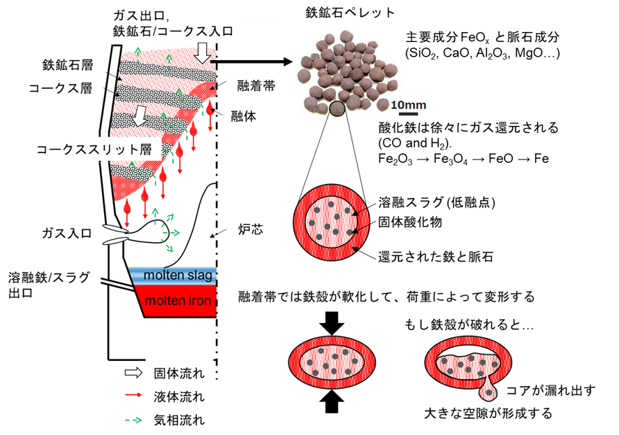 低炭素製鉄プロセスの新しい予測技術 ―X線CTと粒子法を融合した、鉄鉱石の「強さ」を逆推定―