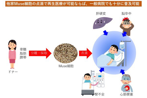 この研究の示す可能性