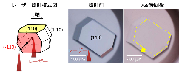 tohokuuniv-press20161021_02.png