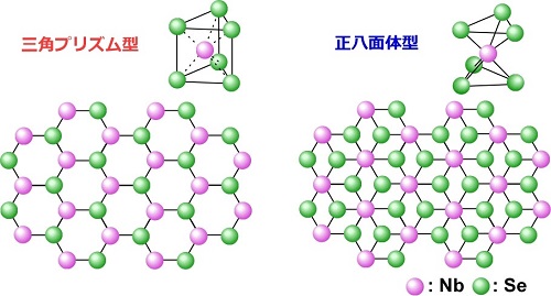 tohokuuniv-press20161107_02.jpg