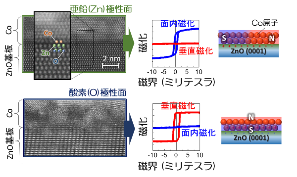 tohokuuniv-press20161129_01.png