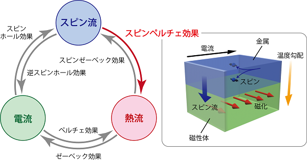 tohokuuniv-press20161212_03.png