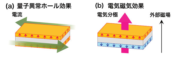 概念図