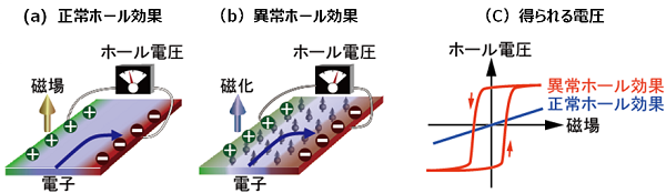 tohokuuniv-press20170315_01.png