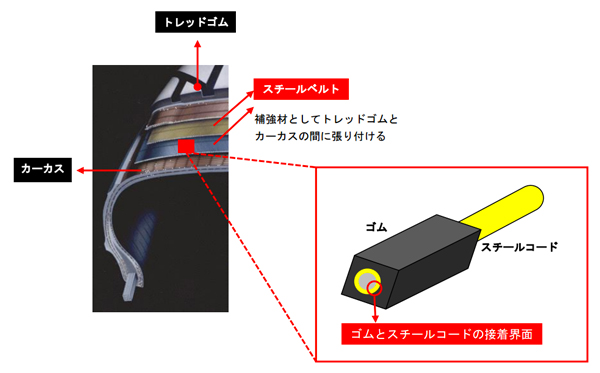 tohokuuniv-press20170522_03.jpg