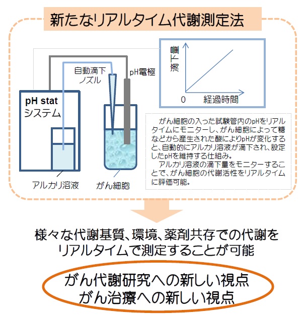 新たなリアルタイム代謝測定法