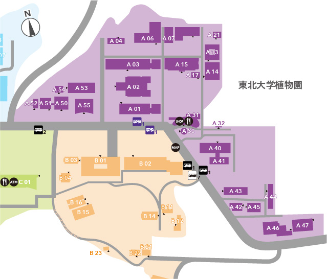 青葉山キャンパス Aエリア