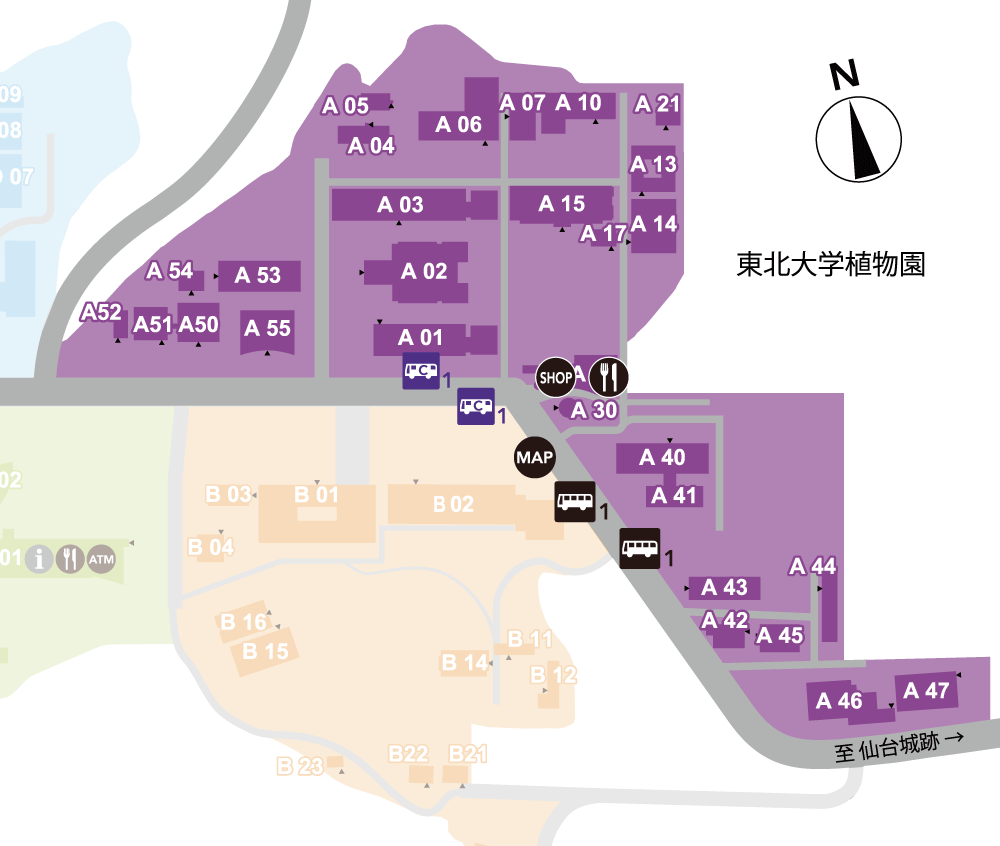 青葉山キャンパス Aエリア